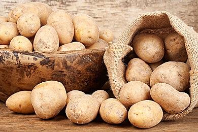 GOG喜加一！免费领取《克苏鲁异闻录》